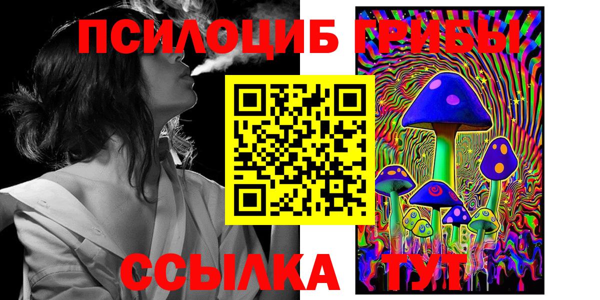 Псилоцибиновые грибы Psilocybe Чехов
