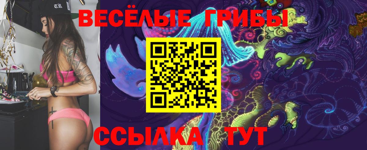 Галлюциногенные грибы GOLDEN TEACHER  Вход с VPN  Чехов  Псилоцибиновые грибы Cubensis 